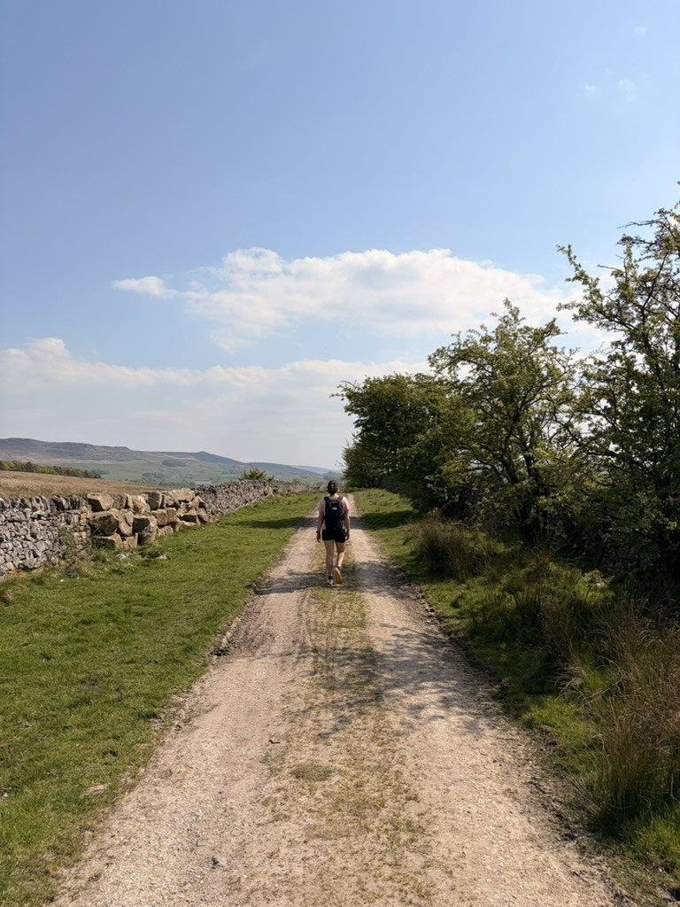 Hiker following a long sunlit track between dry stone walls and trees on the Malham to Grassington walk