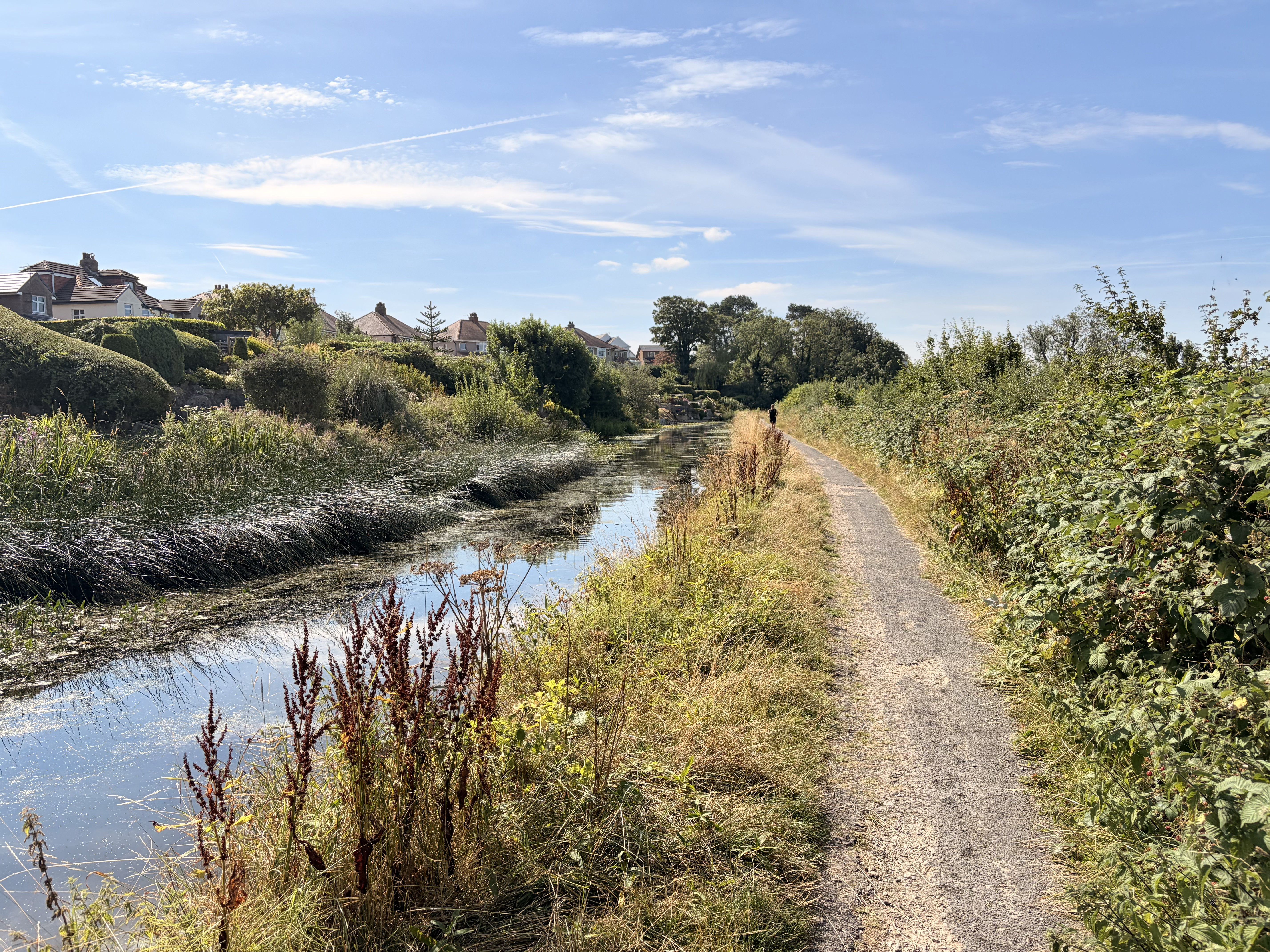 Sunlit canal towpath winding beside calm water, reeds and leafy hedgerows near Lancaster