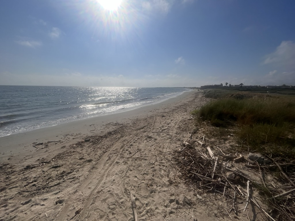 The long sandy shoreline at Spiaggiabella, with sunlight reflecting across the Adriatic Sea.