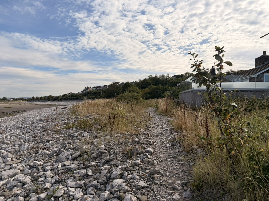 Faint footpath through stones and beach grass between the Morecambe Bay shoreline and nearby houses