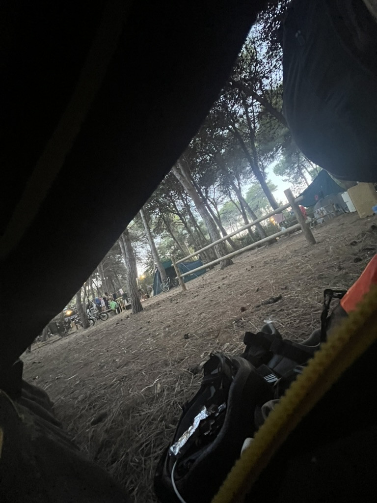 A view through the partly opened flap of a one-man tent across the wooded campsite at Torre dell’Orso.