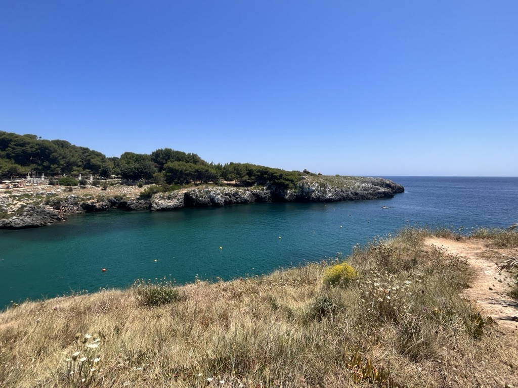 A sheltered turquoise bay near Melendugno, surrounded by rocky cliffs and pine trees under a clear blue sky.